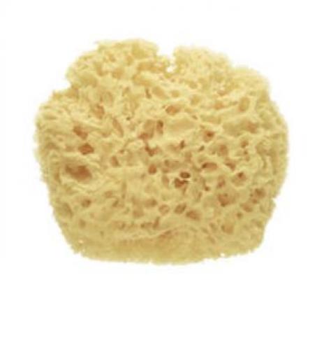 Naturschwamm Premium
