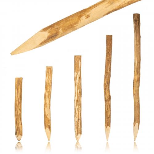 Angespitzte Rundpfosten aus Haselnuss - L�nge: 150 cm