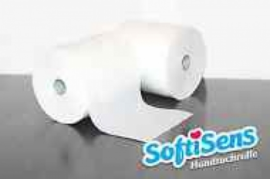 Handtuchrolle Auenabwicklung 3-lagig, 100m (6 Rollen/Karton) - Menge: 1