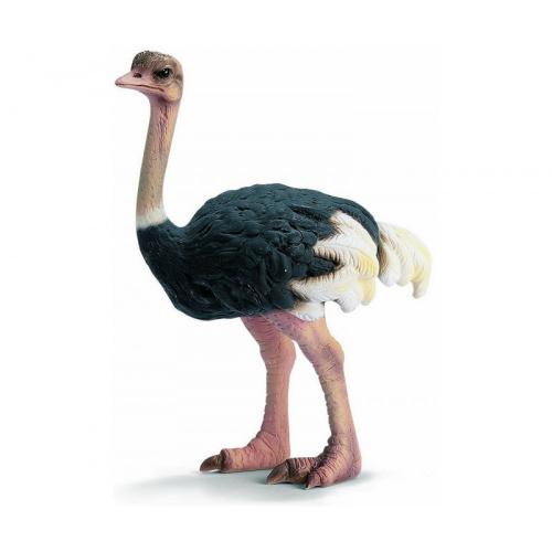 Schleich Tierwelt - Auswahl: Strauen