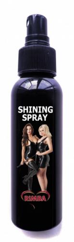 Shining Spray 100 ml