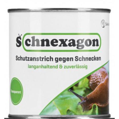 Nexa Lotte Schnexagon 375ml