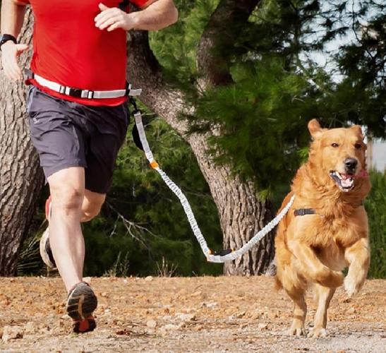 InnovaGoods Joggingleine fr Hunde
