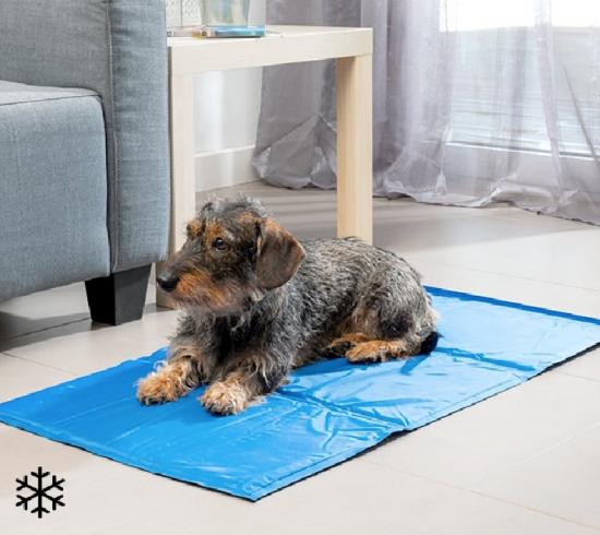 InnovaGoods K�hlmatte f�r Haustiere  (90 x 50 cm)