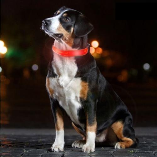 InnovaGoods My Pet EZ LED Hundehalsband