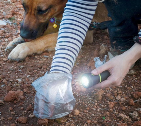 InnovaGoods MyPet Poop Lantern Kotttenhalter und Taschenlampe