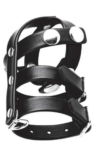 Blue Line BLUE LINE C&B GEAR Double Cock And Ball Strap With Leash Lead