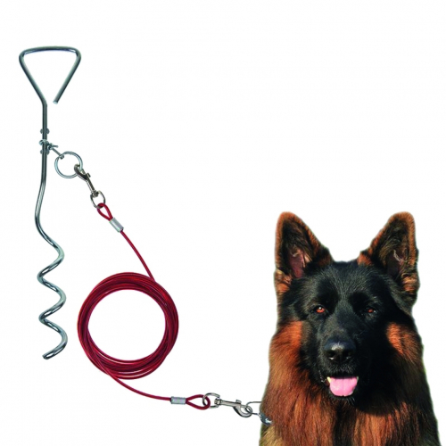 ProPlus Schraub-Zeltanker mit Hundeleine