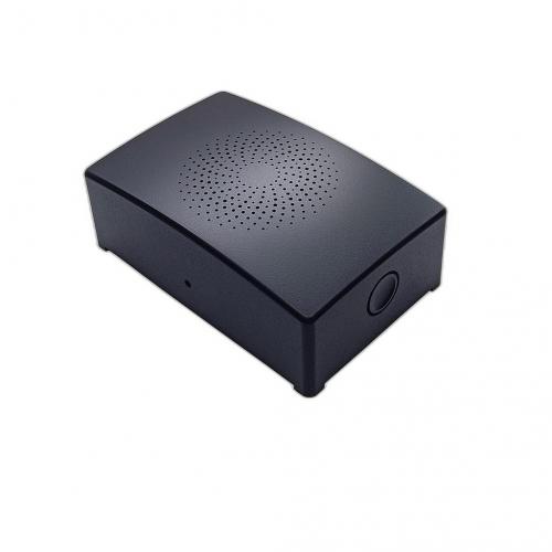 Thitronik Gaswarner G.A.S. pro III - Ausf�hrung: f�r Kohlenmonoxid