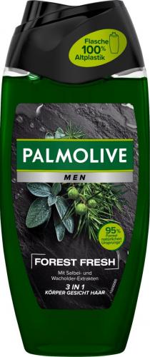 Palmolive Duschgel Men Forest Fresh 250ml Flasche