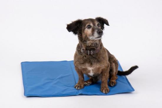 Camp4 Cool - Khlmatte fr Hunde