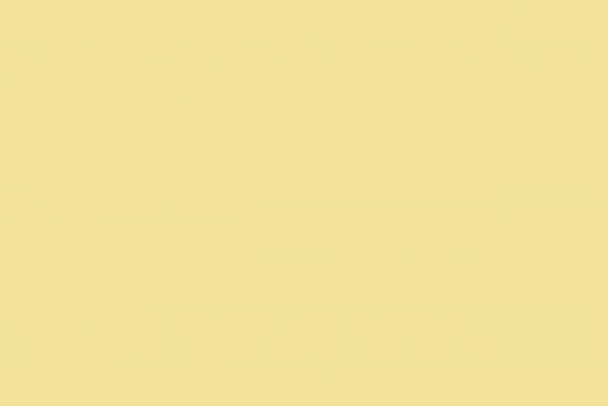 MONTANA Montana Black Spraydose 400ml - Farbe: Smash137's Potato