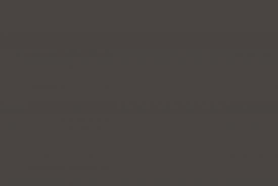 MONTANA Montana Black Spraydose 400ml - Farbe: ant