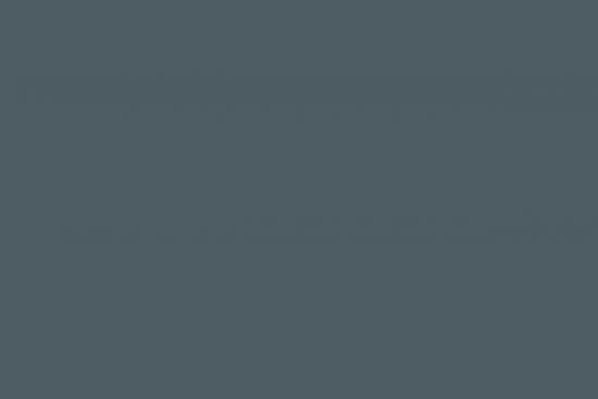 MONTANA Montana Black Spraydose 400ml - Farbe: SEAL