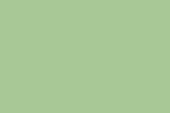 MONTANA Montana Black Spraydose 400ml - Farbe: E2E Green
